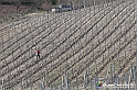 VBS_0836 - Corneliano d'Alba